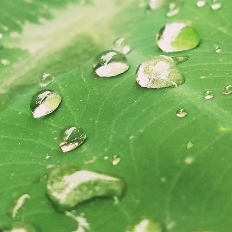 Free stock image of Water Drop created by Danny Lawrance Nadar