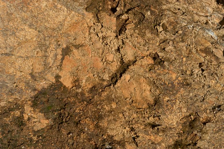 Free stock image of Muddy texture created by Secret Agency