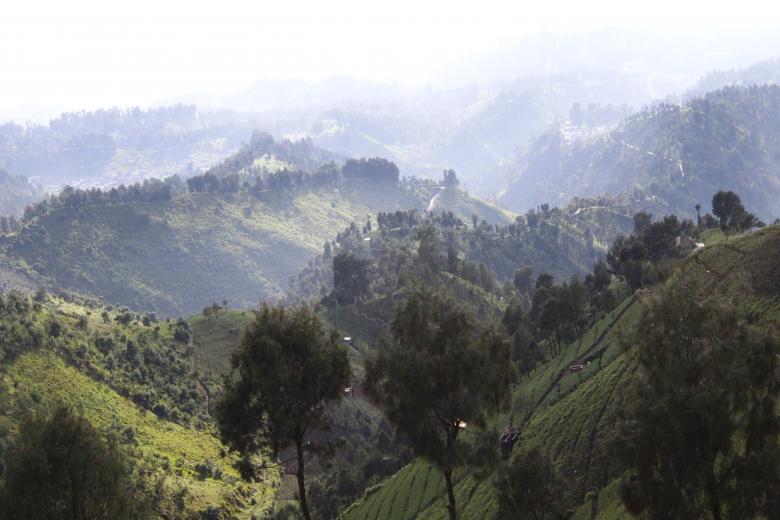 Free stock image of pegunungan created by Moh fajar shidiq