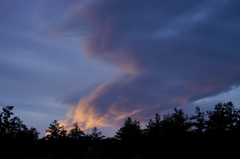Free stock image of Sunset over Trees created by Secret Agency