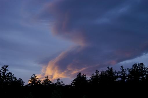 Sunset over Trees - Free Stock Photo