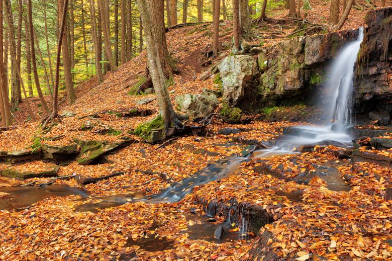 Free stock image of Autumn Dutchman Forest Falls created by Nicolas Raymond