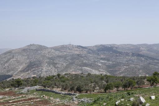 Free Stock Photo of Amazing Landscapes of Israel, Views of the Holy Land