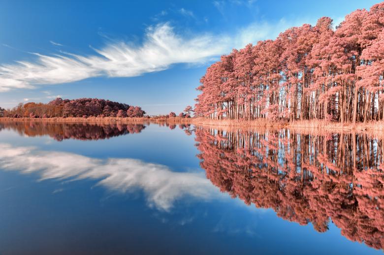 Free stock image of Lake Knapp Reflection - Tickle Me Pink created by Nicolas Raymond
