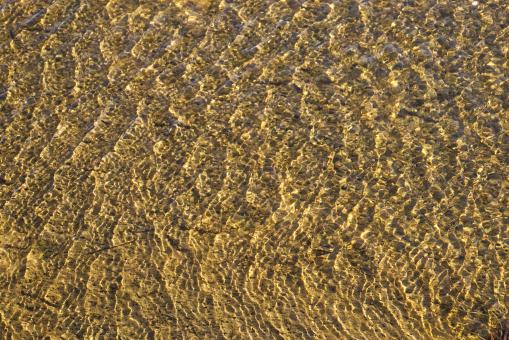Sunlight Water and Sand - Free Stock Photo