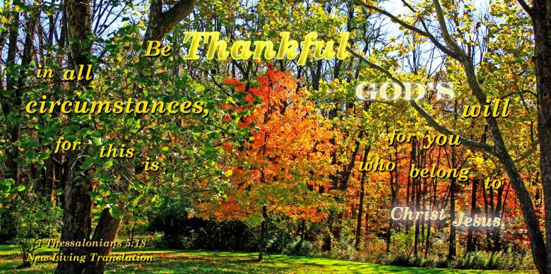 Free stock image of Be Thankful in All created by DFNatureAwed