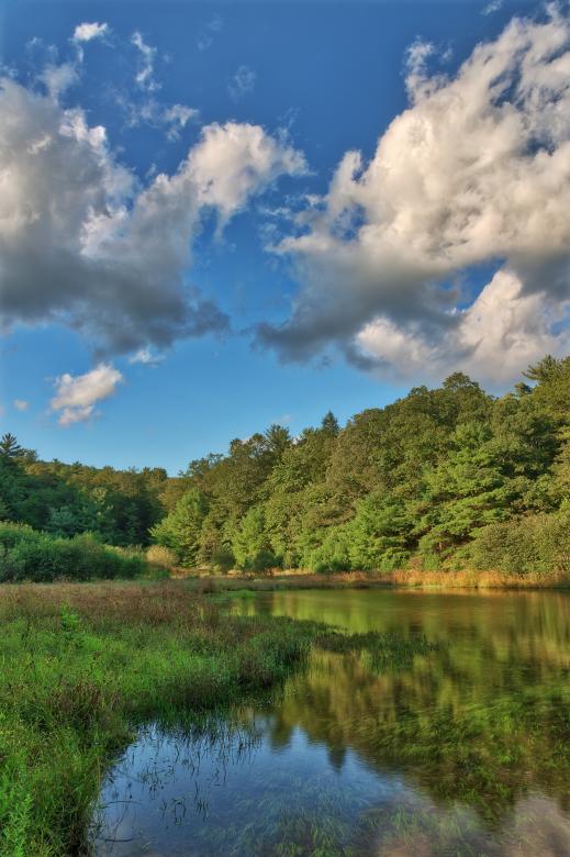 Free stock image of Clashing Pond Clouds created by Nicolas Raymond