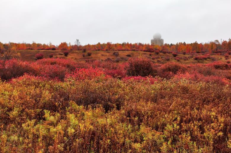 Free stock image of Autumn Tower Field created by Nicolas Raymond