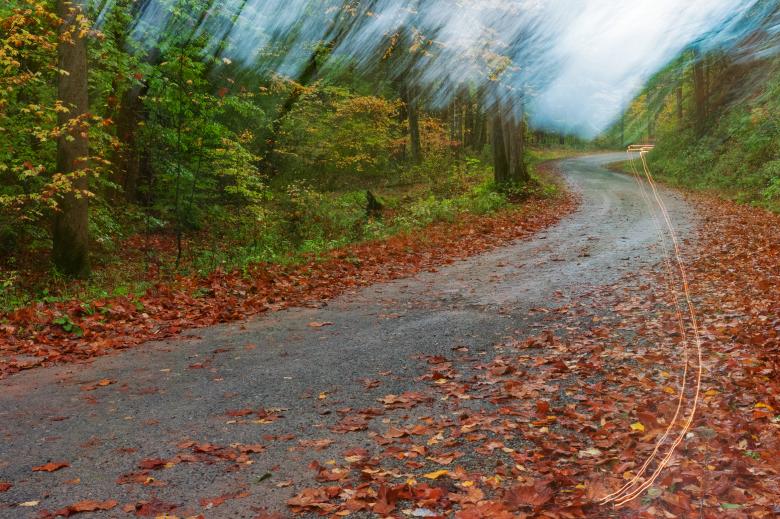 Free stock image of Happy Autumn Forest Accident created by Nicolas Raymond