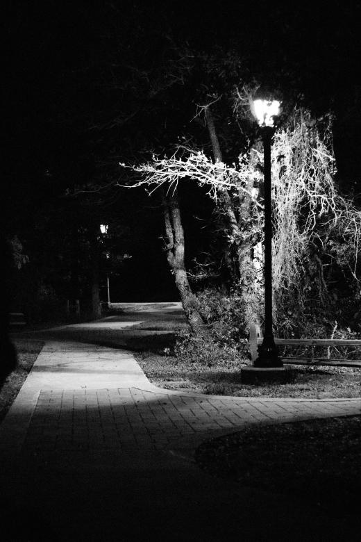 Free stock image of Night walk created by Daniel