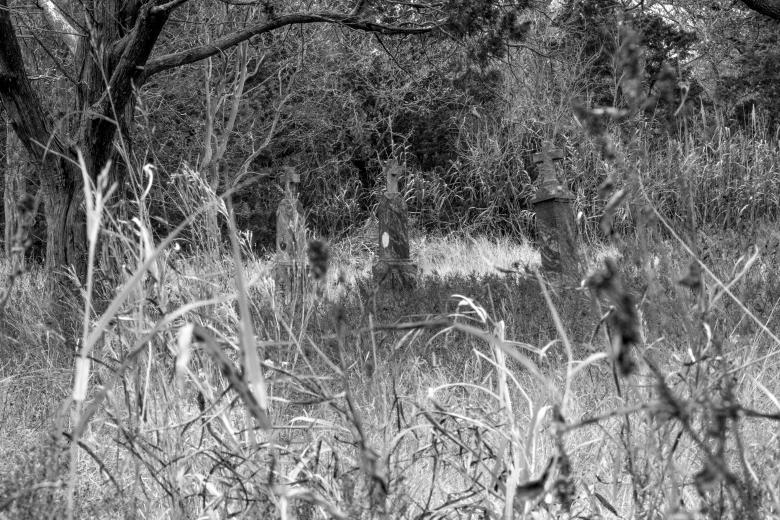 Free stock image of Rest in the grass created by Daniel