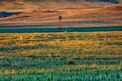 Windmill in the distance