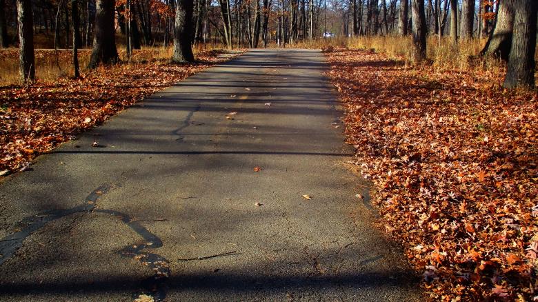 Free stock image of Autumn Trail  created by Mq Best Visual Arts