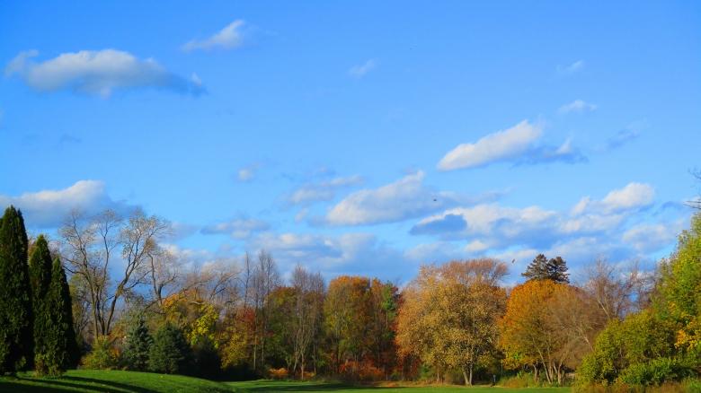 Free stock image of Fall Scape created by Mq Best Visual Arts
