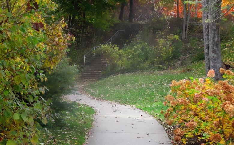 Free stock image of Autumn Walkway created by Mq Best Visual Arts