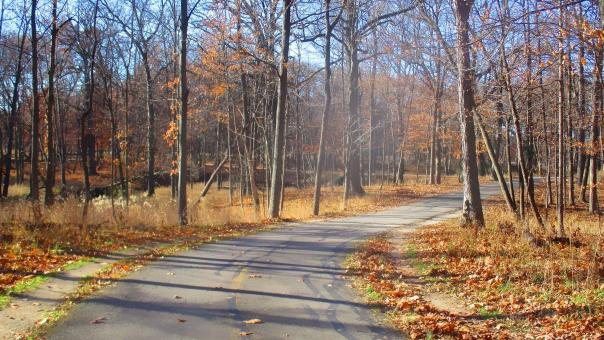 Fall Scenic - Free Stock Photo