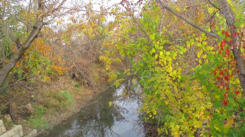 Free stock image of Autumn River created by Mq Best Visual Arts