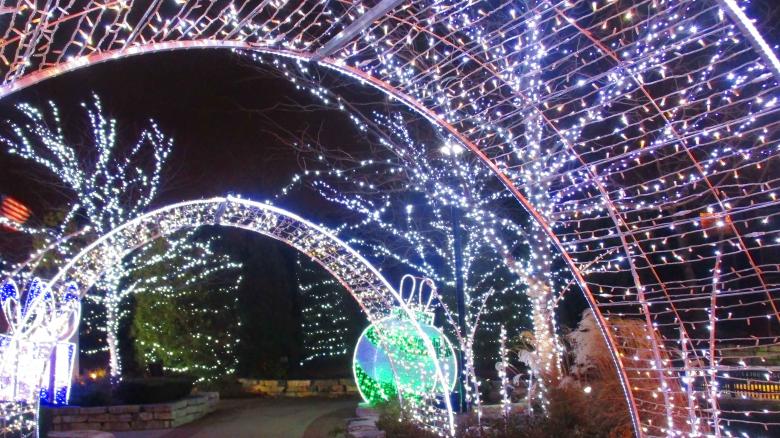 Free stock image of Holiday Tunnel created by Mq Best Visual Arts