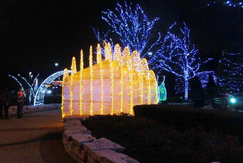 Free stock image of Holiday Lights  created by Mq Best Visual Arts