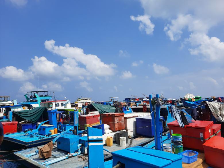 Free stock image of Unseen Maldives  created by KHAWAJA UMER FAROOQ