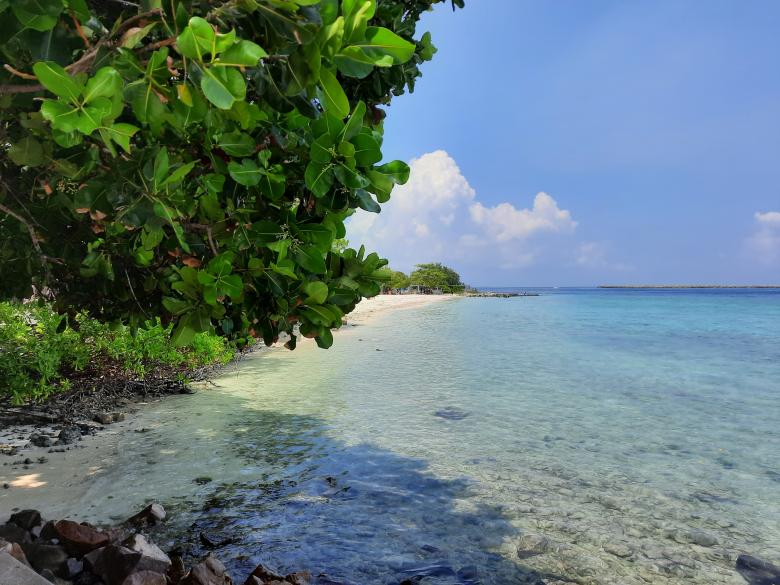 Free stock image of Unseen Maldives  created by KHAWAJA UMER FAROOQ