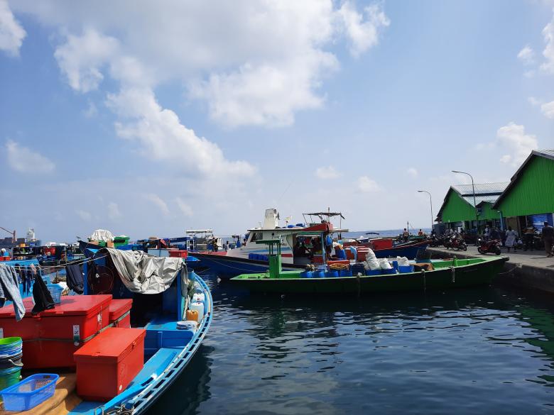 Free stock image of Unseen Maldives  created by KHAWAJA UMER FAROOQ