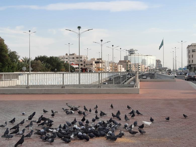 Free stock image of Amazing Jeddah  created by KHAWAJA UMER FAROOQ