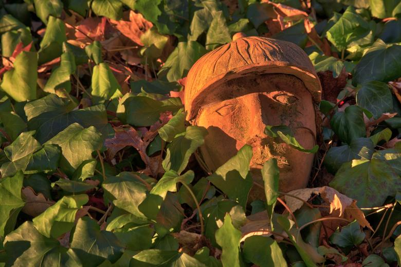 Free stock image of Garden Clay Face created by Nicolas Raymond