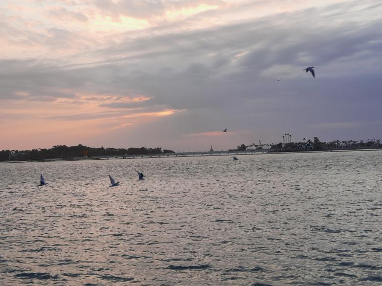 Free stock image of Amazing Sunset and Birds created by KHAWAJA UMER FAROOQ