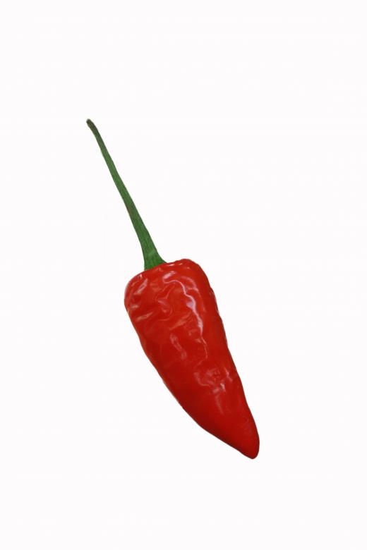 Free stock image of red pepper chilli isolated on white background created by nl photography