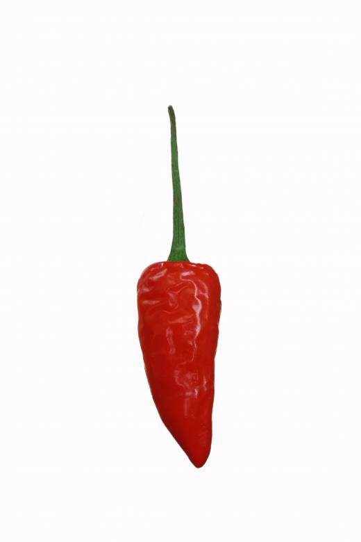 Free stock image of red chilli in white background created by nl photography