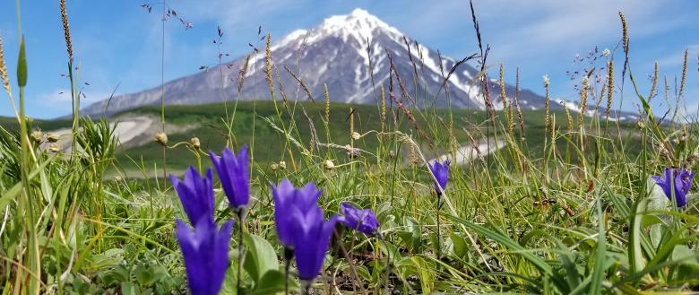 Free stock image of Mountain peak created by Kelly Peebles