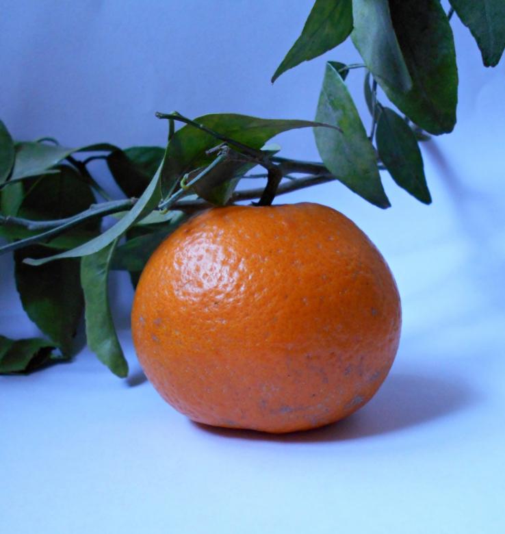 Free stock image of Single Orange With Green Leaves created by Farzana Ahmad Awan