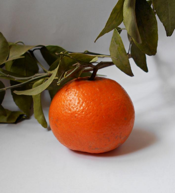 Free stock image of Fresh Orange With Leaves  created by Farzana Ahmad Awan