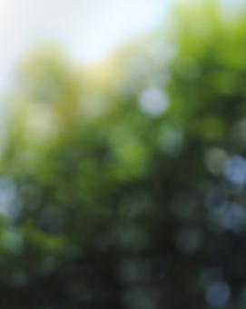 green bokeh background - Free Stock Photo
