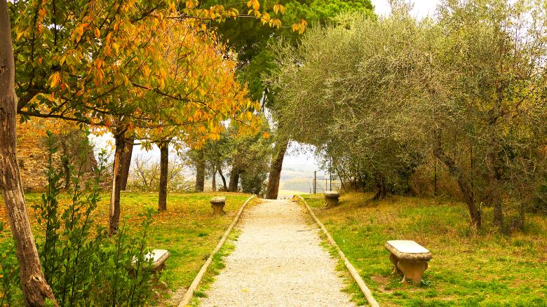 Free stock image of Pathway created by Dreamlandscape
