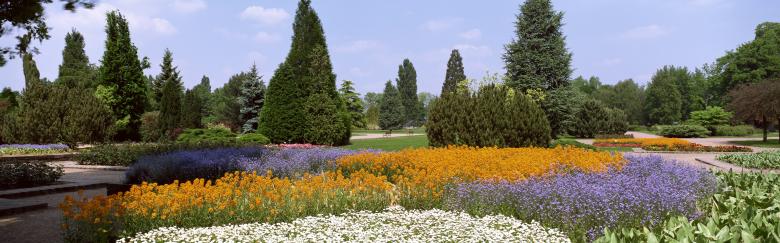 Free stock image of flowers and trees created by Kelly Peebles