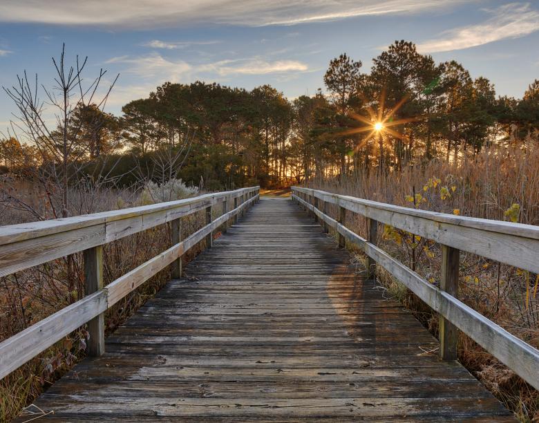 Free stock image of Chincoteague Sunrise Boardwalk created by Nicolas Raymond