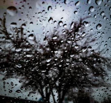 Rainy Day - Free Stock Photo