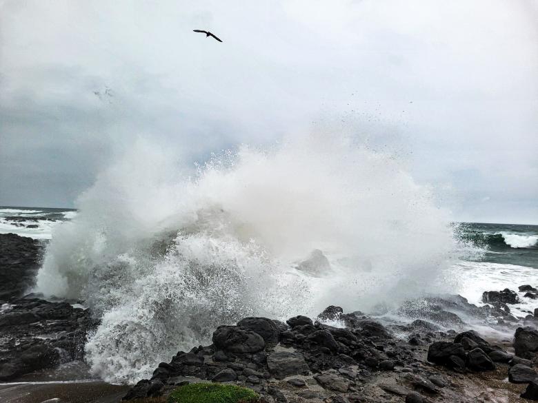 Free stock image of Above the Waves created by Amanda Rescoe