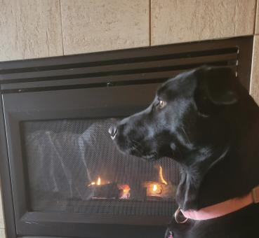 Sitting by the Fire - Free Stock Photo