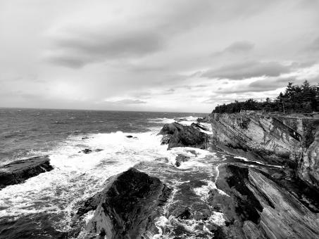 Shore Acres Black and White  - Free Stock Photo