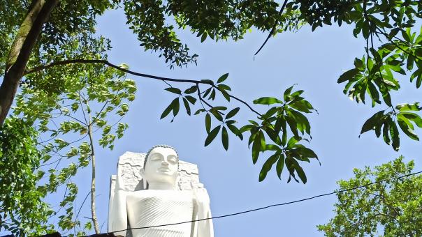South Asia's Tallest Buddha Statue | Sri Lanka - Free Stock Photo