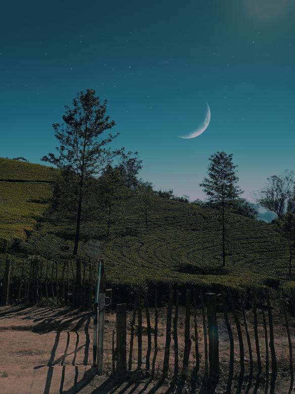 Free stock image of Moon and the Landscape created by nl photography