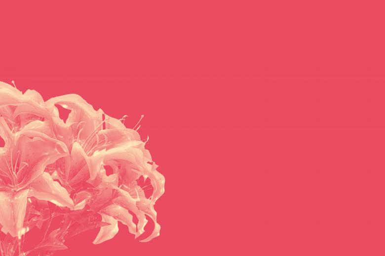 Free stock image of Glossy style beautiful flower duotone created by John Leaver