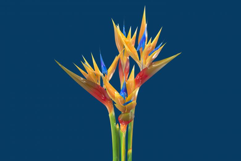 Free stock image of Glossy style beautiful flowers created by John Leaver