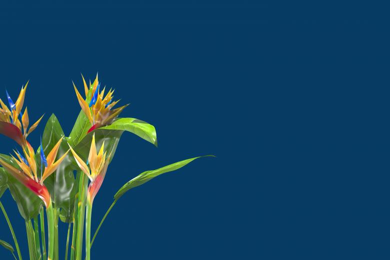 Free stock image of Glossy style beautiful flowers created by John Leaver