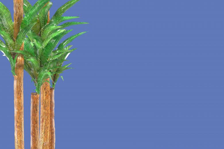 Free stock image of Glossy style beautiful plant created by John Leaver