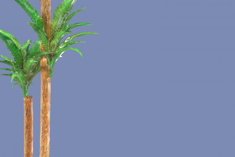 Free stock image of Glossy style beautiful plant created by John Leaver