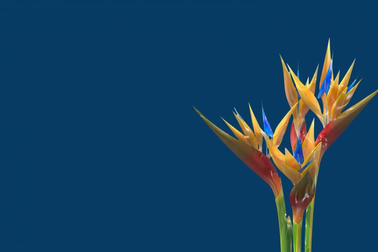 Free stock image of Glossy style beautiful flowers created by John Leaver
